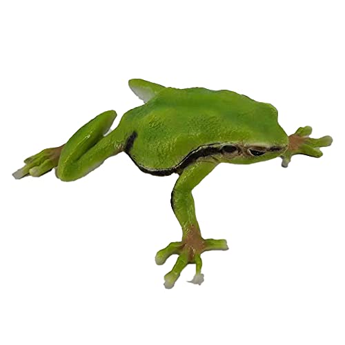 Statue de Jardin de Grenouille - Figurine ornementale finie à la Main avec des détails complexes - Sculpture d'étang résistante au Gel adaptée à l'intérieur et à l'extérieur - Crapaud (Arbre Vert) Cover