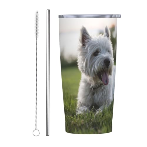 Ő̃EGXgnChzCgeǍ X|[c^fMWt 590ml v[g{g