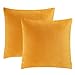 eletecpro Kissenbezug 45x45cm, 2er Set Samt Kissenhülle mit Verstecktem Reißverschluss, Gelb Dekorative Kissenbezüge für Sofa und Terrasse Wohnzimmer,Schlafzimmer, Büro in großer Farb- Größenauswahl