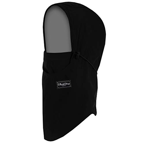 BLACKSTRAP Team Hood Balaclava Face Mask, Dual Layer Cold Weather Headwear for Men and Women, Black