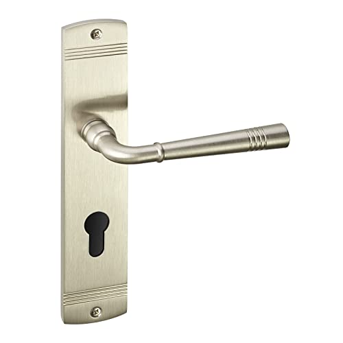 1 Juego de manillas FREJA con aspecto de acero inoxidable cilindro (PZ) Manilla en placa larga vintage con material de fijación de Sotech