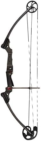 Genesis Compound Archery Target Practice and Hunting Bow with Adjustable 25-40 Pound Draw Weight and 21-30 Inch Length Range, Right Hand, Carbon