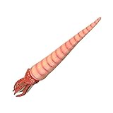 INOOMP 石鹦鹉螺模型 認知用 海洋生物フィギュア 教育 耐久性プラスチック製 インテリア置物 家 オフィス装飾用