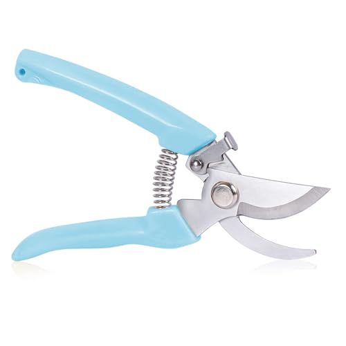 JINGYOU oT~  ΂ p XeX y ^ }؂oT~ Kтɂ |͂ ΂ ₷ TNTN؂ }؂EԁEAEAEʕE (u[)