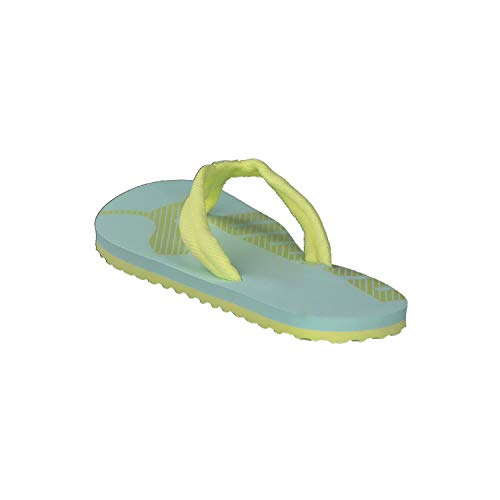 Image of PUMA Epic Flip V2 Synthetic Slipon Womens Athleisure Flip Flops