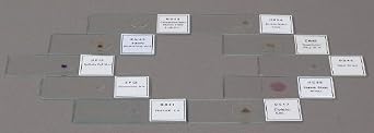 OMAX 15 Prepared Slides with Plastic Box in Basic Science Set A