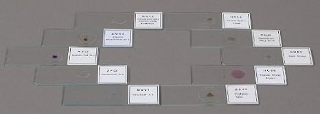 OMAX 15 Prepared Slides with Plastic Box in Basic Science Set A