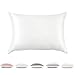 JZS Funda de Almohada de Seda Momme 19, 100% Pura Seda Natural de Morera Parte Inferior de algodón con Cremallera Oculta Funda de Almohada hipoalergénica 1 Pieza 40x60cm