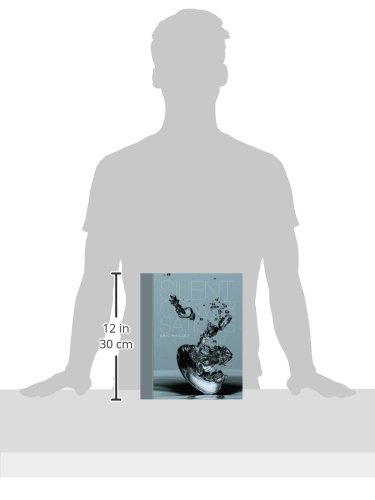 Eric Maillet Silent Conversations édition de luxe en anglais livre de collectionneur - 3