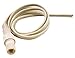Buyers Products 5625576 LED 52.5 Ft Rope Light, Included Clips and Mounts, Heavy Duty, Truck Compartments, Cabinets, Tow/ Utility Trucks, Truck Tool Boxes, Clear