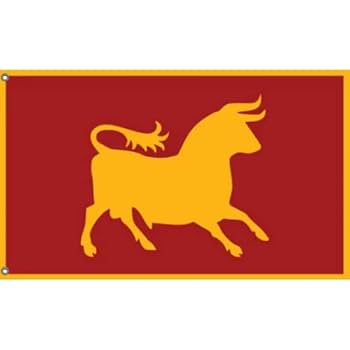 Caesar's Legion Flag | Unique Design Print | Made in EU (3x5
