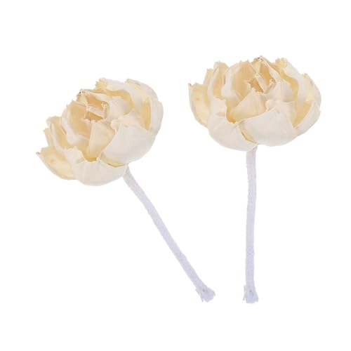 HEATSHAKING Varillas Difusoras de Caña 8 Cm 2 Unidades Flor de Peonía Artificial y Mecha de Algodón para Difusores de Aroma, Decoración Floral para Hogar y Aromaterapia Ambiental