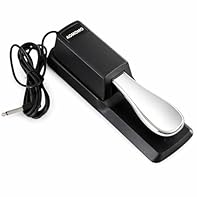 Plug and Play Standard 6.35mm (1/4") jack with 6.5 ft cable for quick and easy setup. Natural Pedal Action Smooth response delivers a realistic sustain feel for everyday playing and practice. Universal Compatibility Works with most digital pianos, MI...
