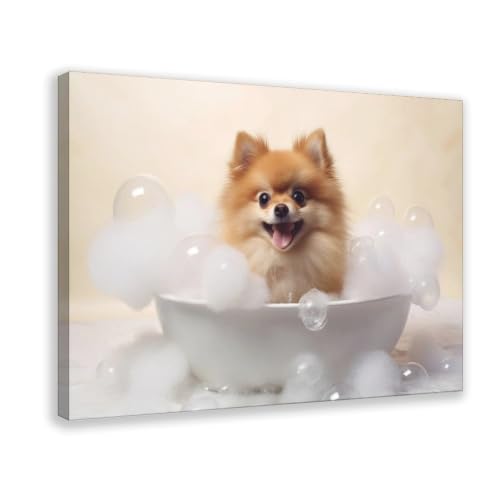 Poster toile bain moussant Poméranie tableau bureau 40x61