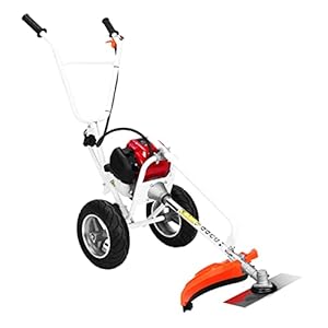 Viertakt-Qualitäts-Multitoo... 4-Takt-Motor, Benzin-Rasentrimmer, Rasenschneider, Mini-Fräse, Rasenfräse Multifunktionaler Rasenkantenschneider (Color : TY09P212-01, Size : W)