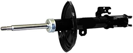 Monroe72211 OESpectrum Strut