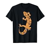 Aesthetic Leopard Gecko Eublepharis macularius