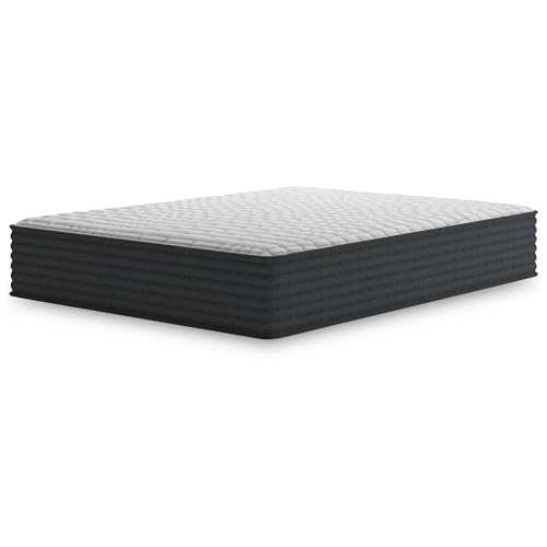 Ashley Hybrid 1200 12