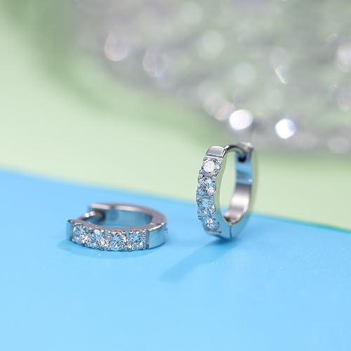 Limerencia G23 Pure Titanium Hypoallergenic Huggie Hoop Earrings for Women Sensitive Ears3