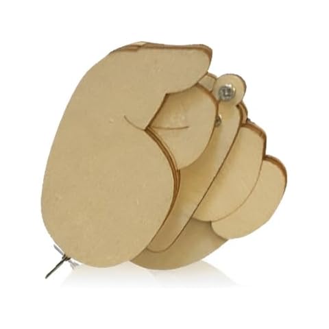 Broche Majeur CPJJ en Bois Cover