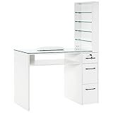 BarberPub Manicure Table with Drawers, Storage Shelves Spa Beauty Salon Station Nail Desk 2673, 45*60*19 inch (White)