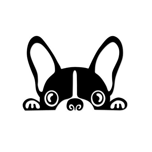 SUNNY JbeBOXebJ[ J[XebJ[  oCN  L[P[XȂǂ  LYB 킢 ] X[cP[X Xm[{[h XP[g{[h T[t{[hɂ (`ubN)NZKDOG02BK-SNY