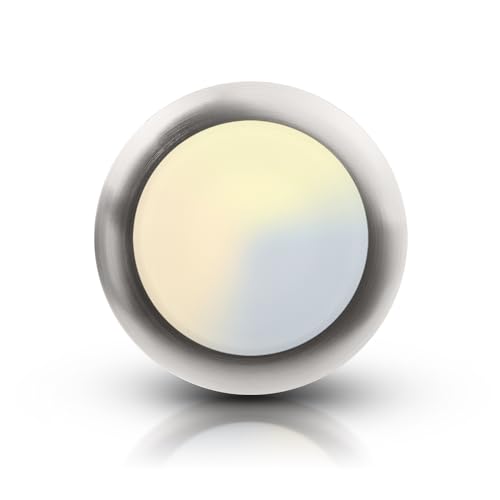ECOELER Brushed Nickel Disk Light