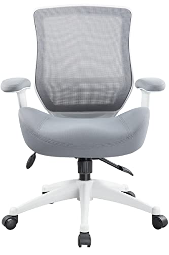 Boliss Office Chair Ergonomic Desk Chair Mesh Computer Chair Height Adjusting Arm Waist Support Function-Grey #TOP6