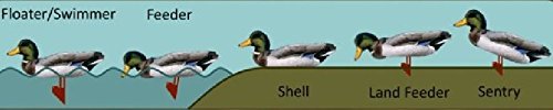 Snapklik.com : FUD Snow Goose Decoys - Foldable And Compact - Perfect ...