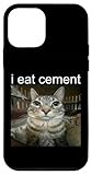 I Eat Cement Silly Cat