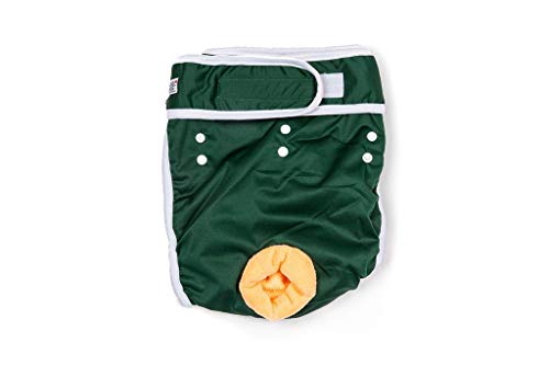 Washable Wonders Male Dog Diaper | Premium Reusable Dog Diapers | Dog Diapers for Male Small Dogs | Waterproof and Washable (Green S)