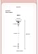 Edelstahl Urethral Tube Männliche Hohle Masturbation SM Sex Spielzeug Trichter Weicher Urethral Plug(D)
