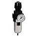 Dixon Valve CB6-02MG, CB6 Wilkerson Compact Filter/Regulator, 64 SCFM (Pack of 2 pcs)
