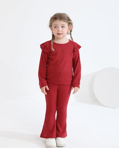 Image of Weebaby Toddler Girl Clothes Infant Girl Sweatsuit Baby Pant Set Outfits Fall Winter Clothing Little Clothes for Girl