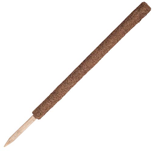 ORANGE DEAL Kokosstab für Pflanzen (Kletterpflanzen) wie Monstera - Rankstab Länge 110 x 4 cm - beliebig erweiterbar für eine natürliche Optik Cover