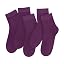 Tyrian Purple