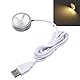 Depisuta LED-Spot-Leuchten, 5-V-USB-Stecker, Mini-Scheinwerfer, Schmuck-Schaufenster-Display-Beleuchtung mit 1,2 M Langem Kabel, Kleine LED-Schaufenster-Lampe für Schmuckschrank (Warmes