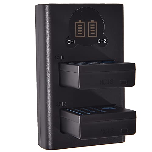 Batterie DMW-BLG10 rechange compatible Panasonic Lumix DMC-GX7 chargeur double USB - 2