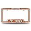 Texas Longhorns