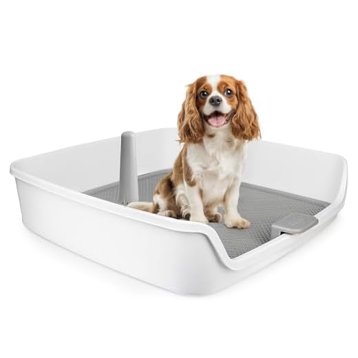 ALL FOR PAWS Indoor Dog Potty Tray
