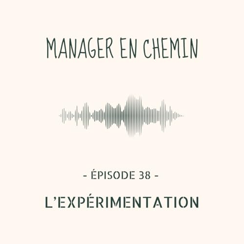 L'exp&eacute;rimentation