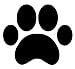 16 Large Paw Prints Premium Quality Decal Stickers - Our Amazing Super Tac Adhesive Holds Strong; Easily Re-Position and Reuse, Easy to Remove, 5.25" Tall x 6" Wide"