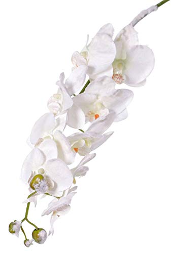 artplants.de Künstliche Phalaenopsis Orchideenzweig Nalani, Schnee, weiß, 80cm - Kunstblumen - Kunstorchidee