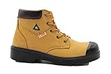 Dolphin 6 CSA approved safety leather boots, construction boots, works shoes (11 M US)