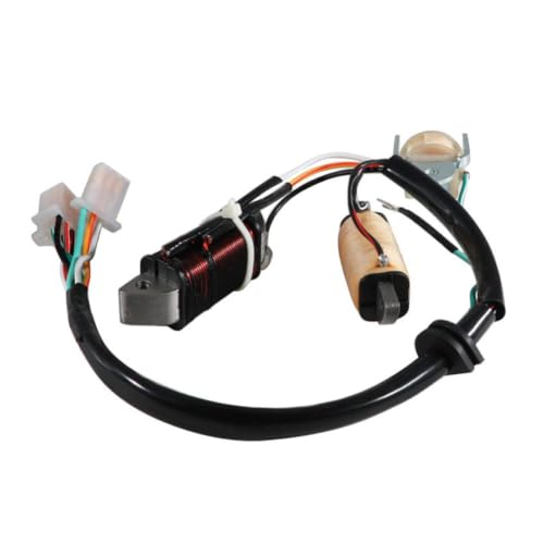 Bobine d'allumage de stator haute conductivité pour T80D Town Mate 1987