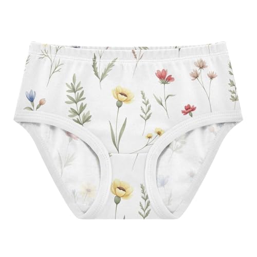 Meadow Flowers White Toddler Girl Underwear, Kids Underwear Girls, 2T–8 Years