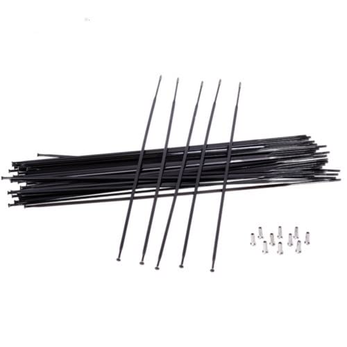 Fahrradspeichen,Fahrrad Speichen 24pcs MTB Rennrad Straight Pull Speichen Fahrradnippel