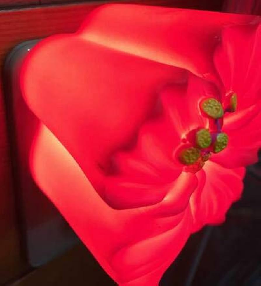 Amazon | ○o。ハワイ限定品!!直輸入!!ナイトランプ