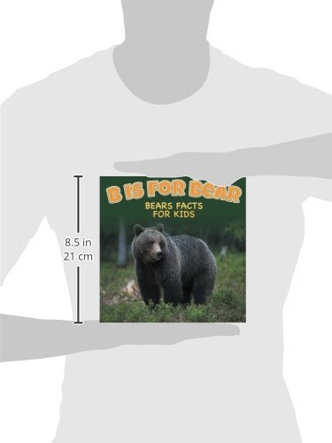 B is for Bear: Bears Facts For Kids
