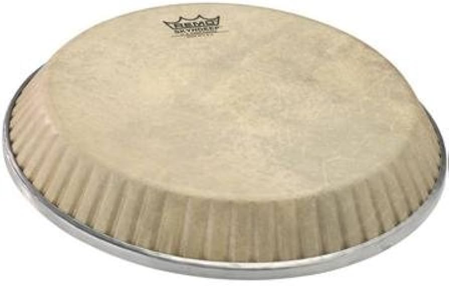 Amazon.com: Remo Symmetry Skyndeep Conga Drumhead - Calfskin